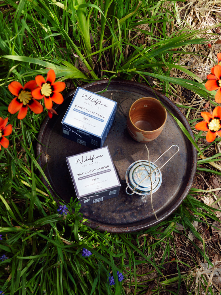 South Coast Black Tea and Wild Chai with Ginger gift boxes with a tea strainer and cup on a rustic tray among native flowers